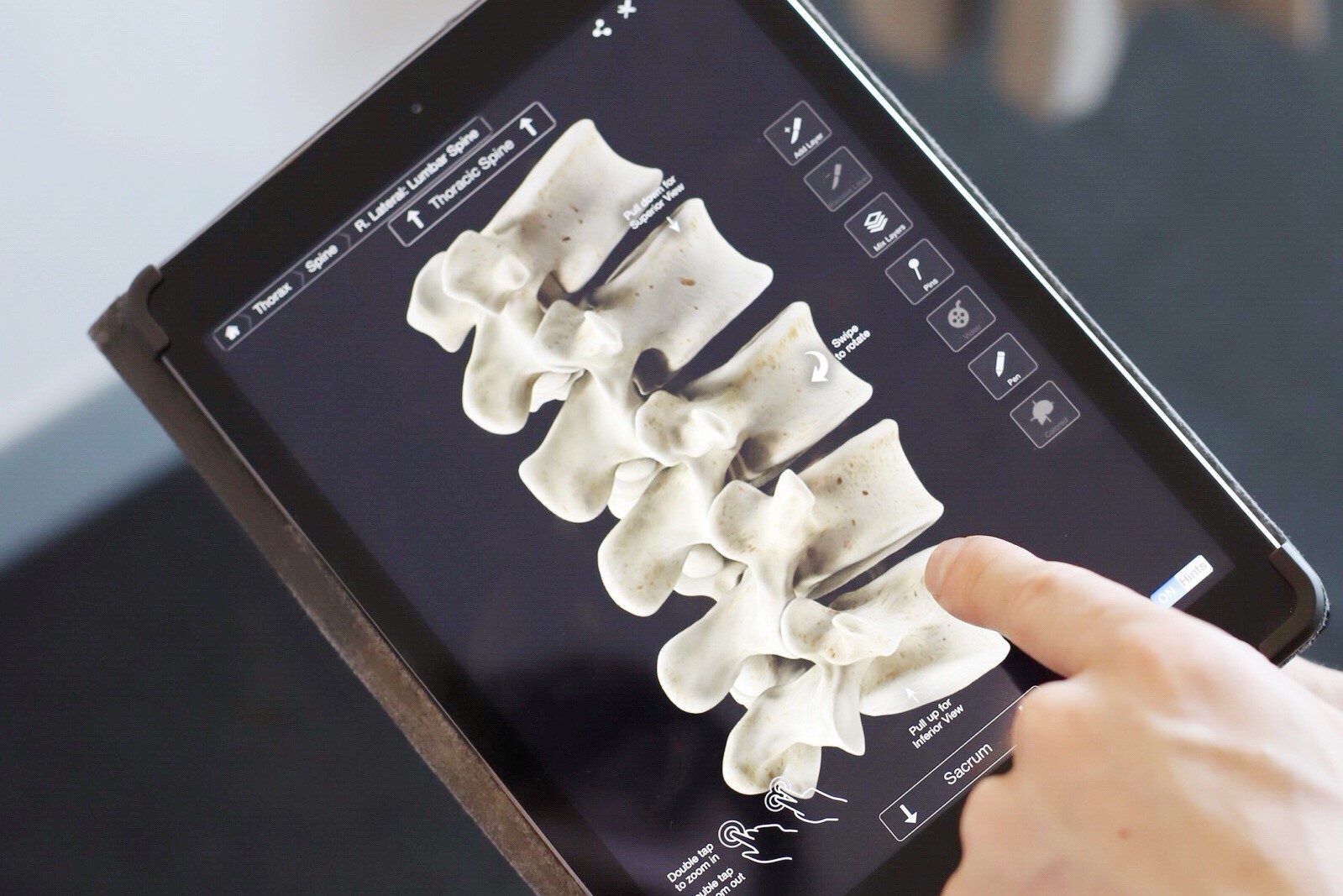 Spinal Physiotherapy